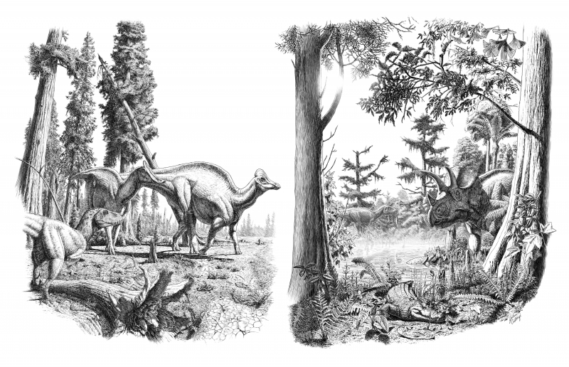 Reconstitution faune dinosaures