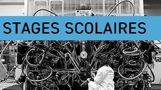 Stages scolaires